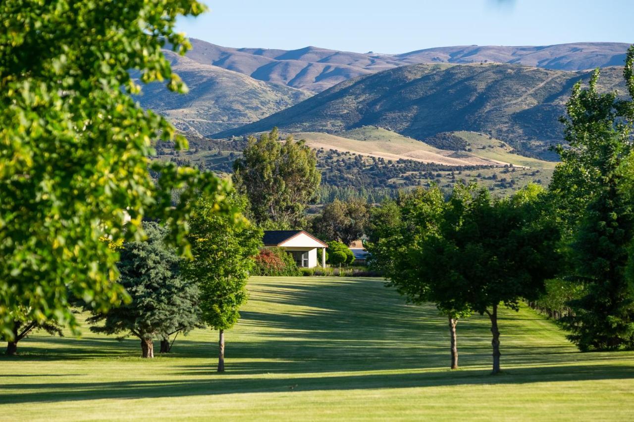 Lime Tree alojamiento Wanaka Exterior foto